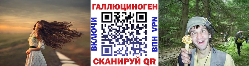 Псилоцибиновые грибы прущие грибы  Шимановск 